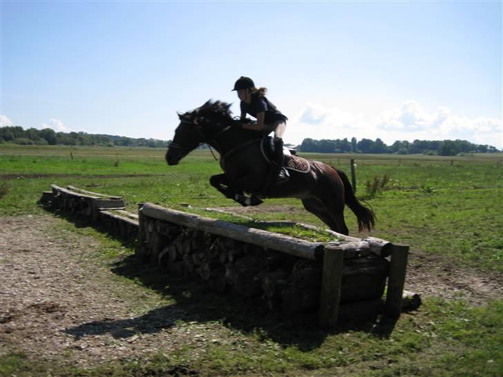 Søborggård Ridelejr Uge 32 billede 222