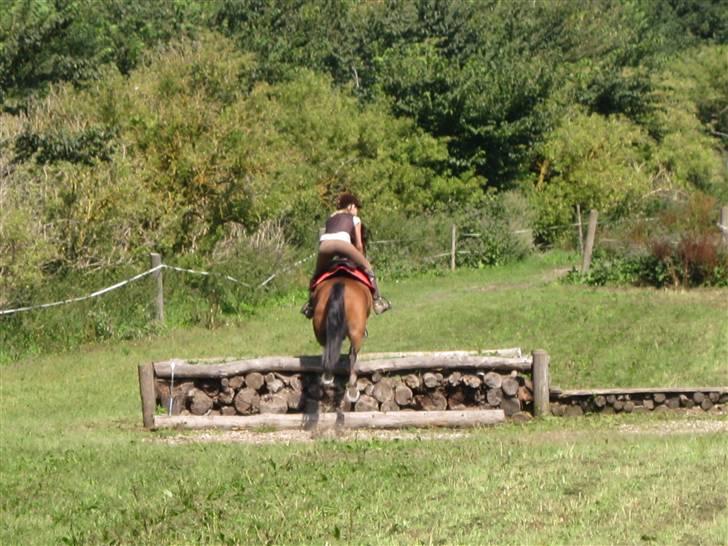 Søborggård Ridelejr Uge 32 billede 223