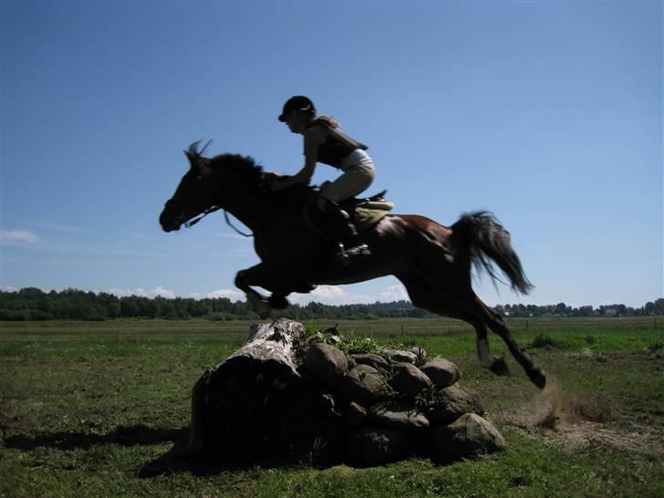 Søborggård Ridelejr Uge 32 billede 225