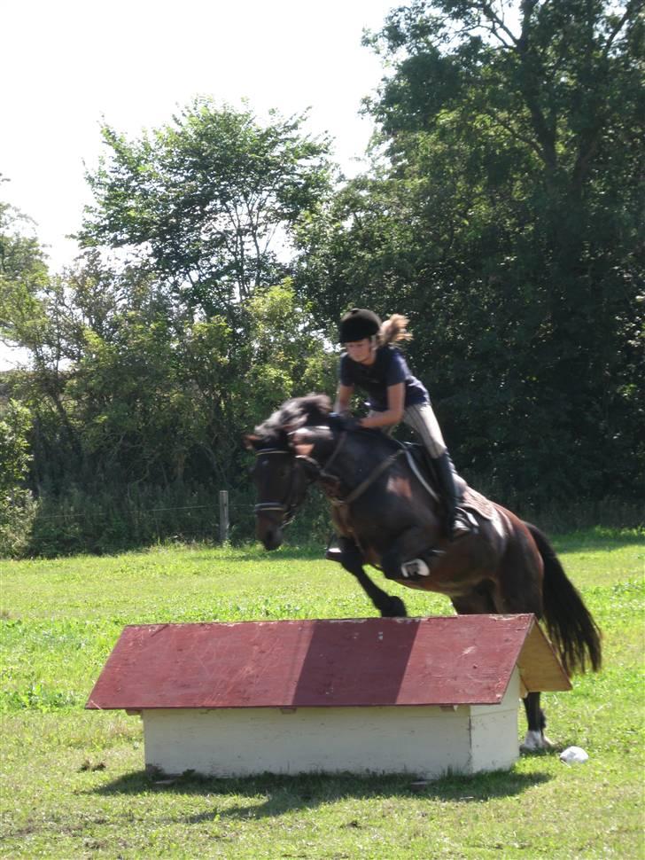 Søborggård Ridelejr Uge 32 billede 227