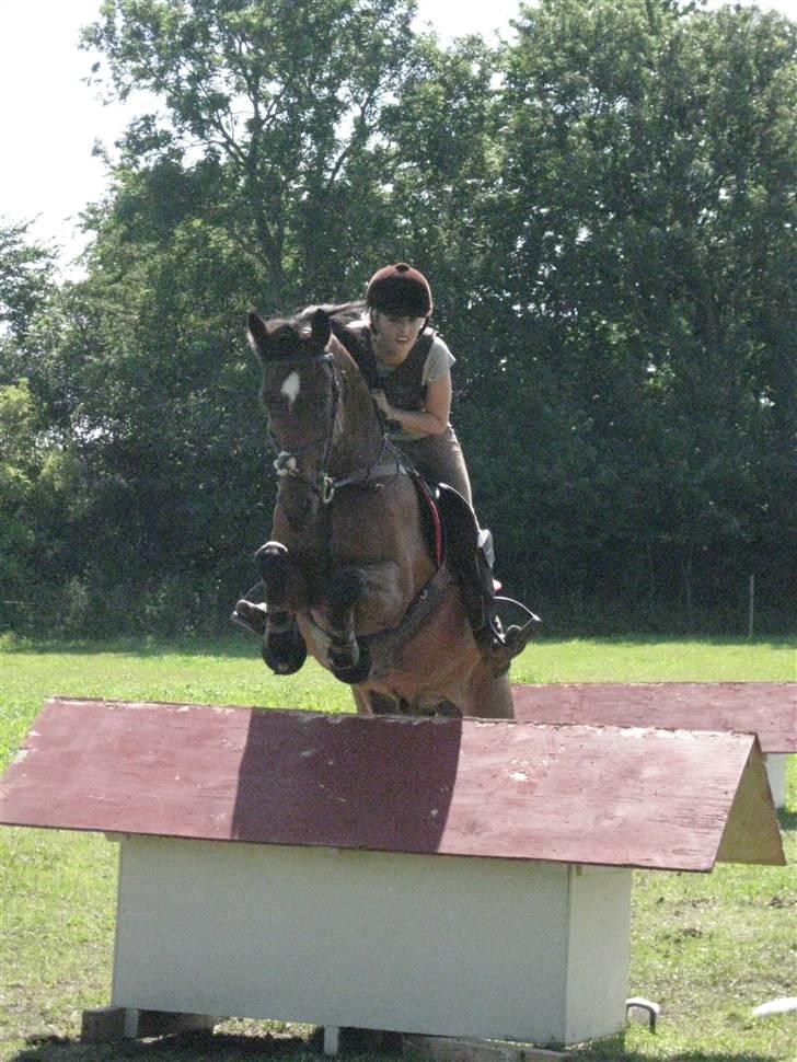 Søborggård Ridelejr Uge 32 billede 229