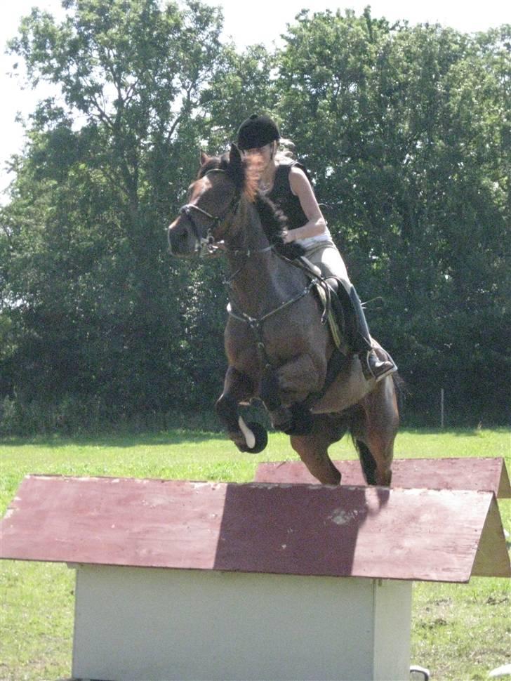 Søborggård Ridelejr Uge 32 billede 230