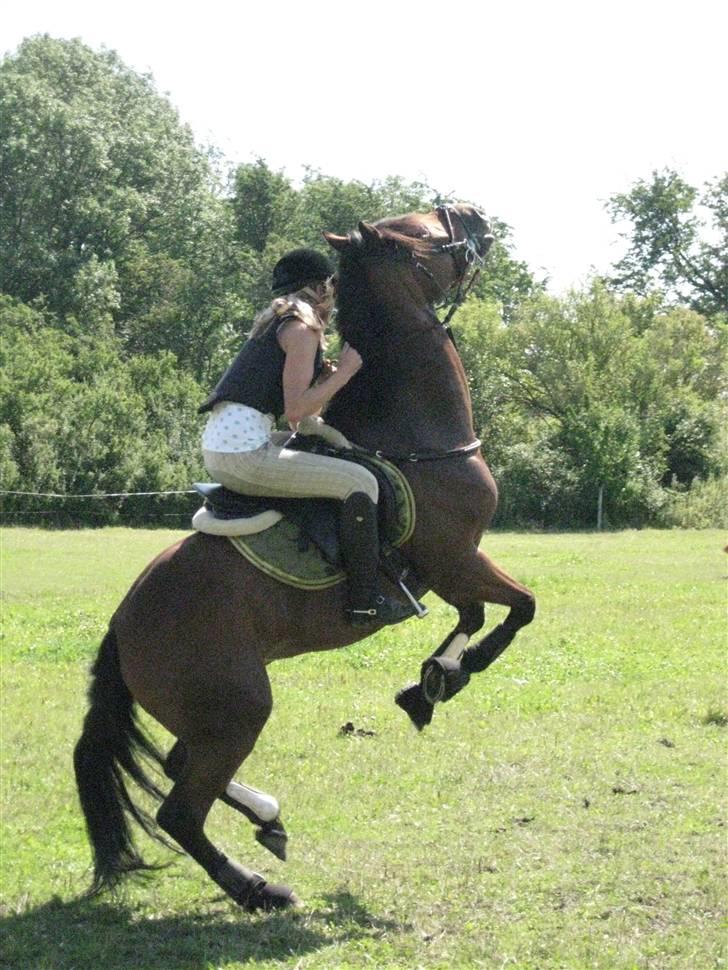 Søborggård Ridelejr Uge 32 billede 232