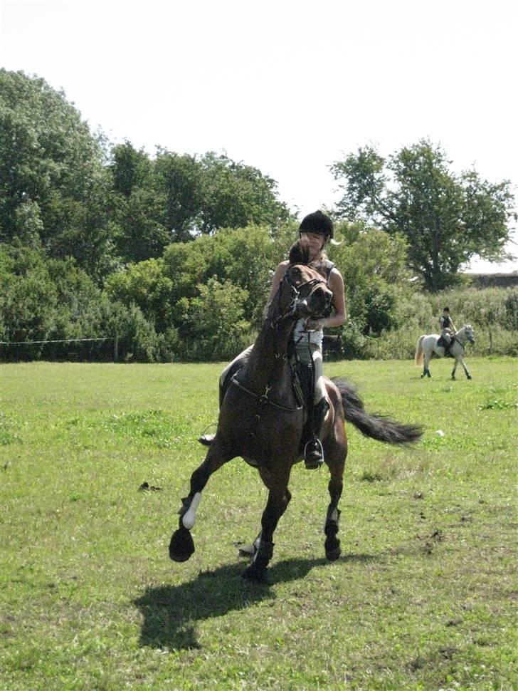 Søborggård Ridelejr Uge 32 billede 233