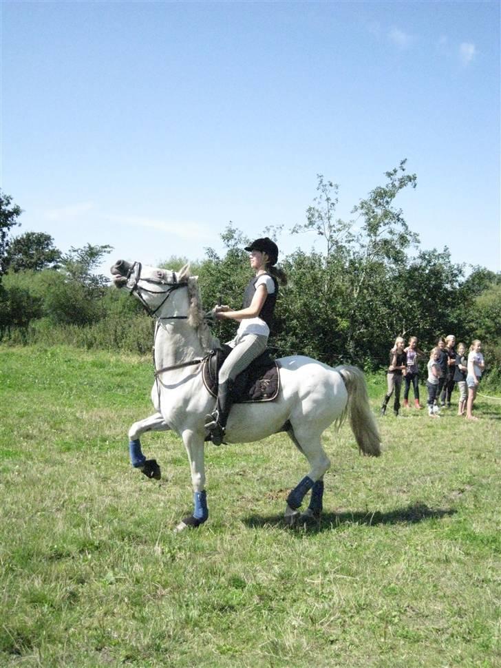 Søborggård Ridelejr Uge 32 billede 234