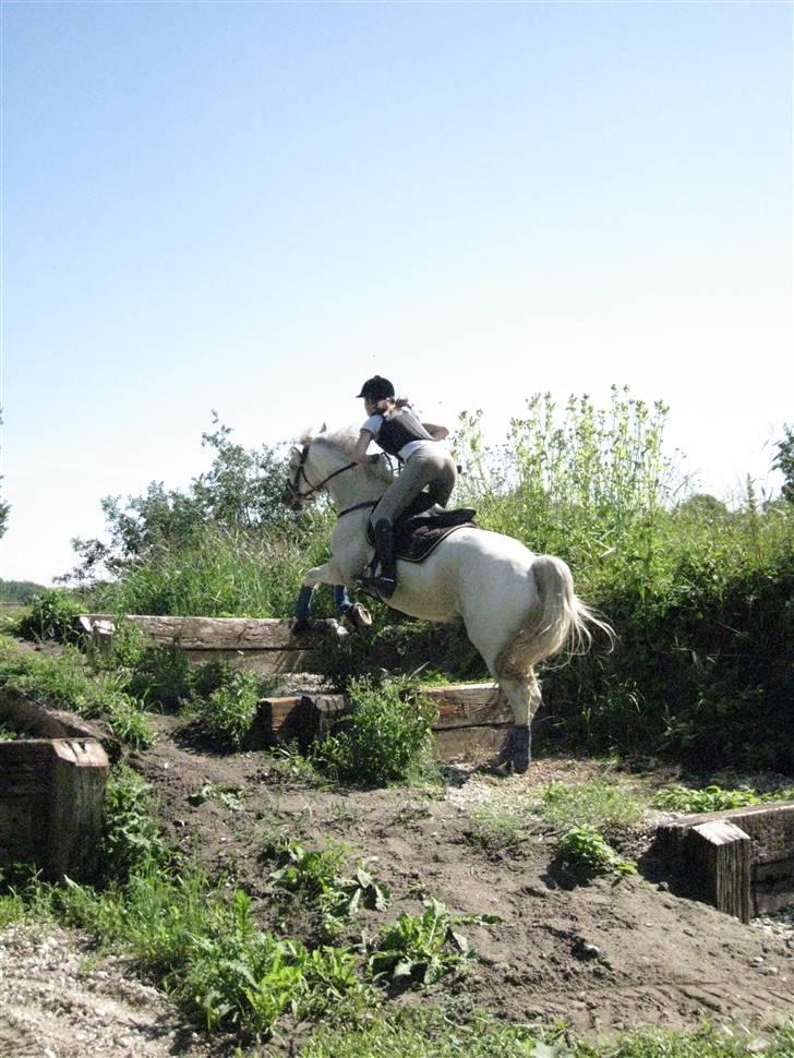 Søborggård Ridelejr Uge 32 billede 235