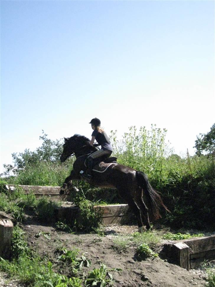 Søborggård Ridelejr Uge 32 billede 236