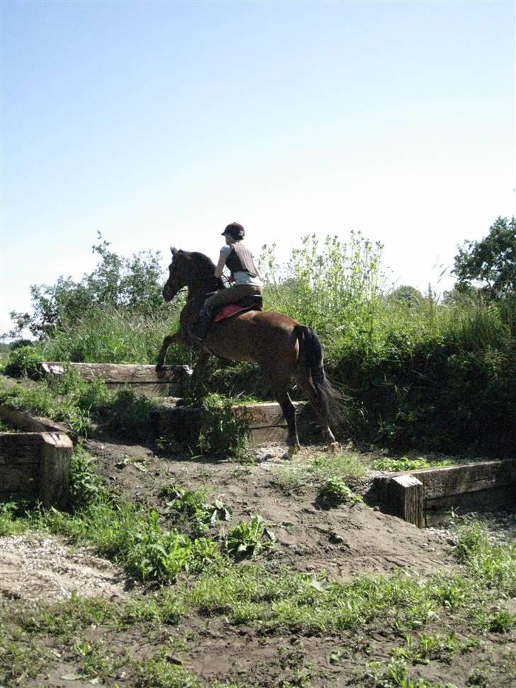 Søborggård Ridelejr Uge 32 billede 237