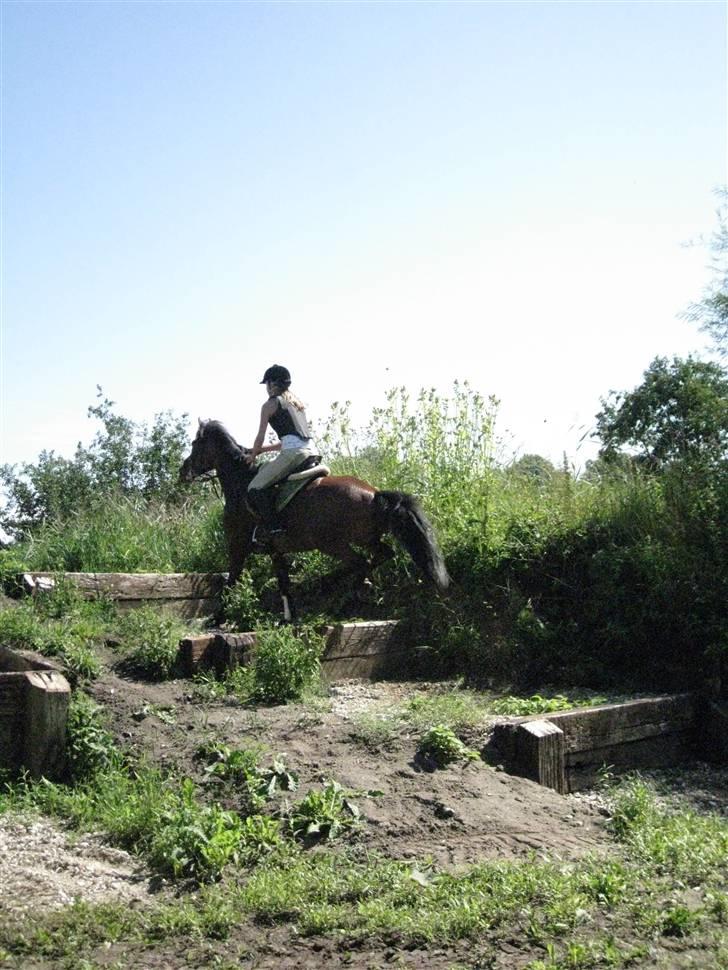 Søborggård Ridelejr Uge 32 billede 238