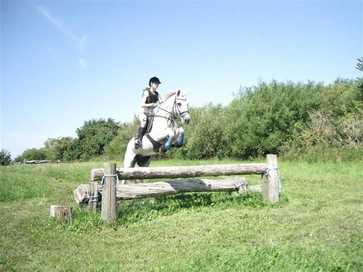 Søborggård Ridelejr Uge 32 billede 239