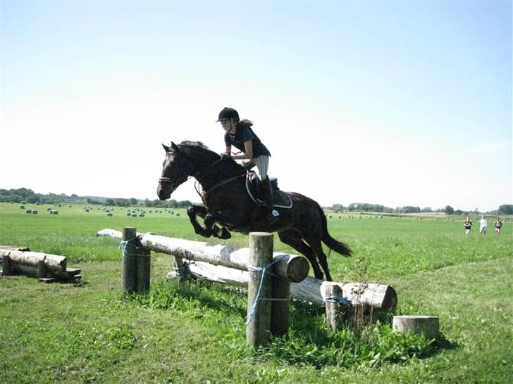 Søborggård Ridelejr Uge 32 billede 240