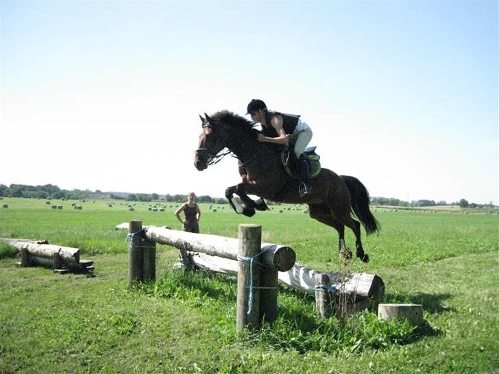 Søborggård Ridelejr Uge 32 billede 241