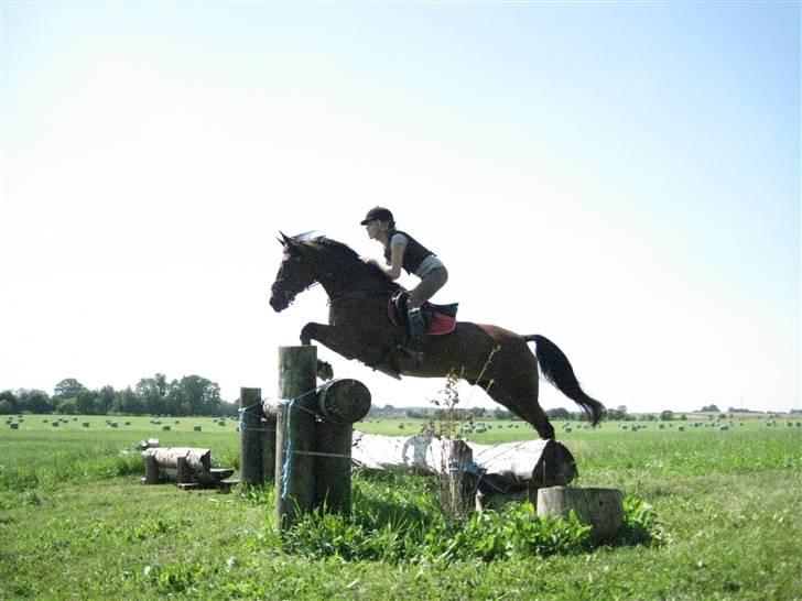 Søborggård Ridelejr Uge 32 billede 242