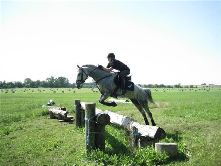 Søborggård Ridelejr Uge 32 billede 243