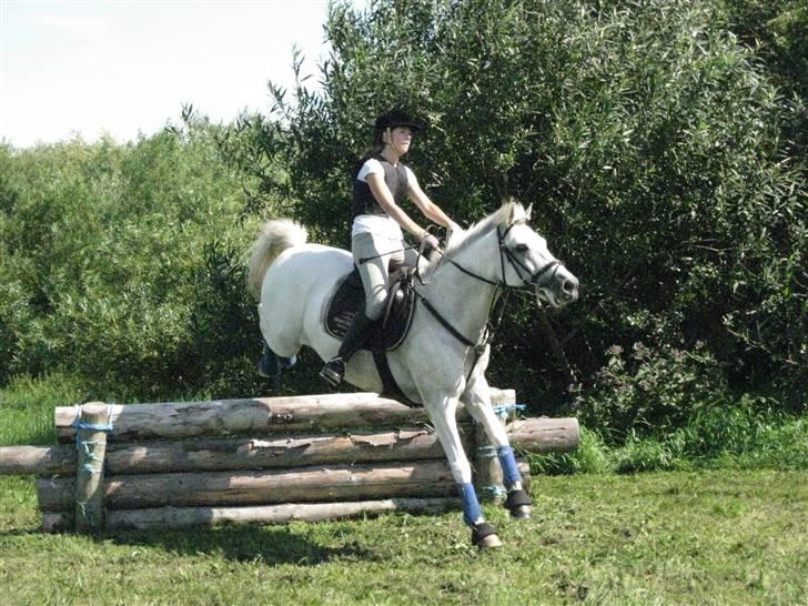 Søborggård Ridelejr Uge 32 billede 245