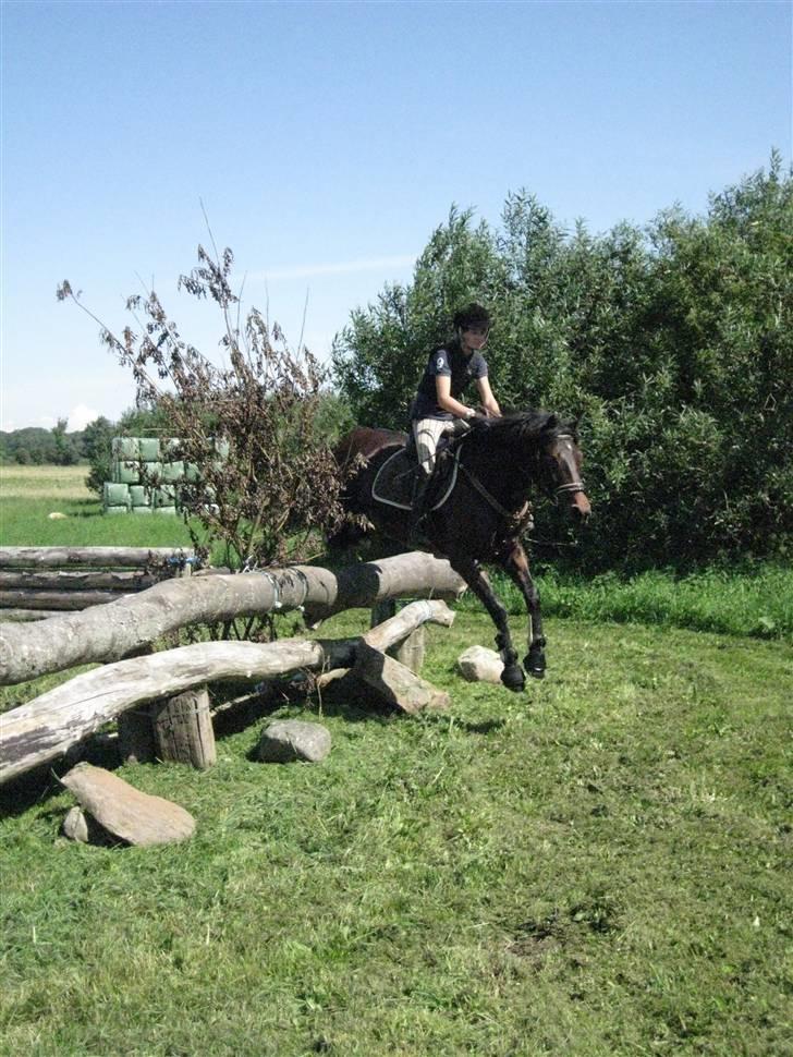 Søborggård Ridelejr Uge 32 billede 246