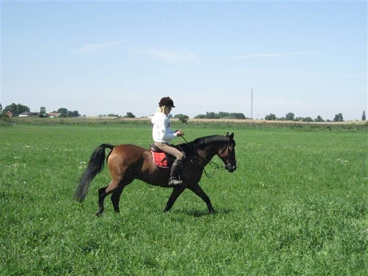 Søborggård Ridelejr Uge 32 billede 247