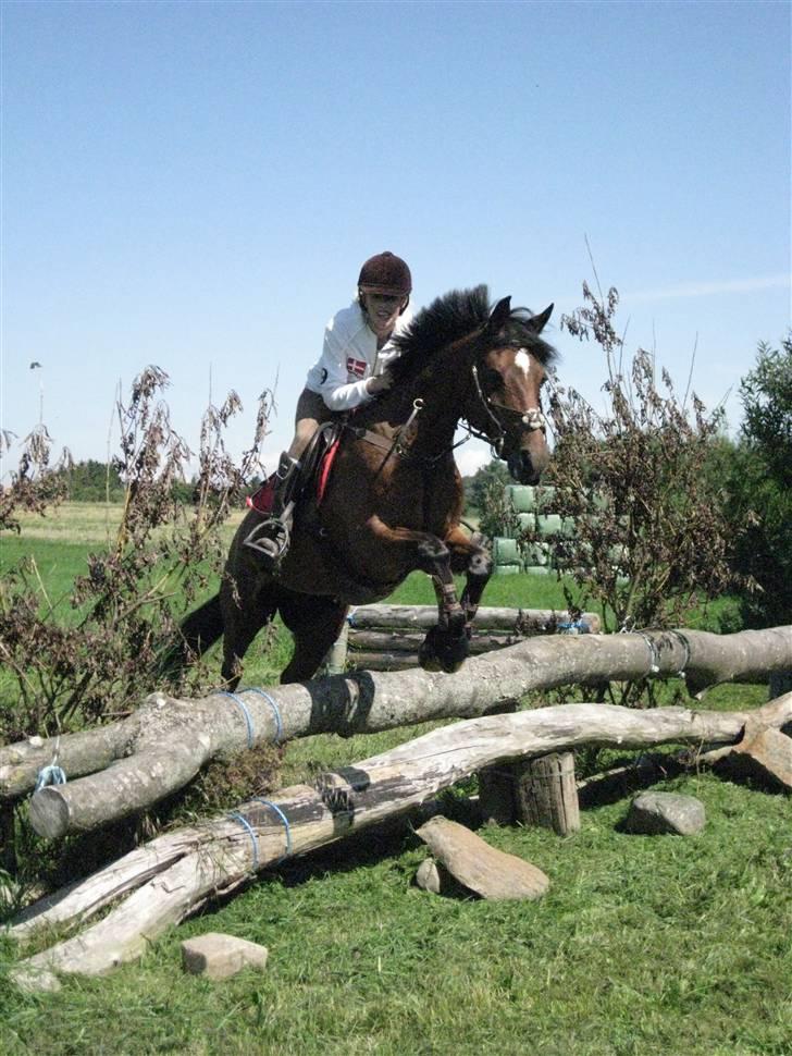 Søborggård Ridelejr Uge 32 billede 248