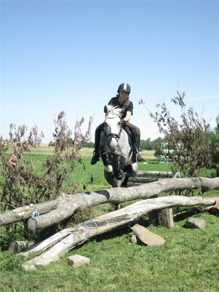 Søborggård Ridelejr Uge 32 billede 249