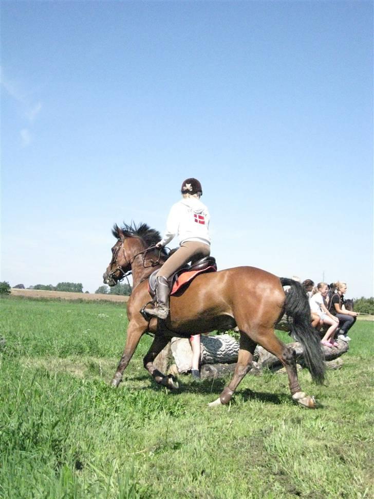 Søborggård Ridelejr Uge 32 billede 250