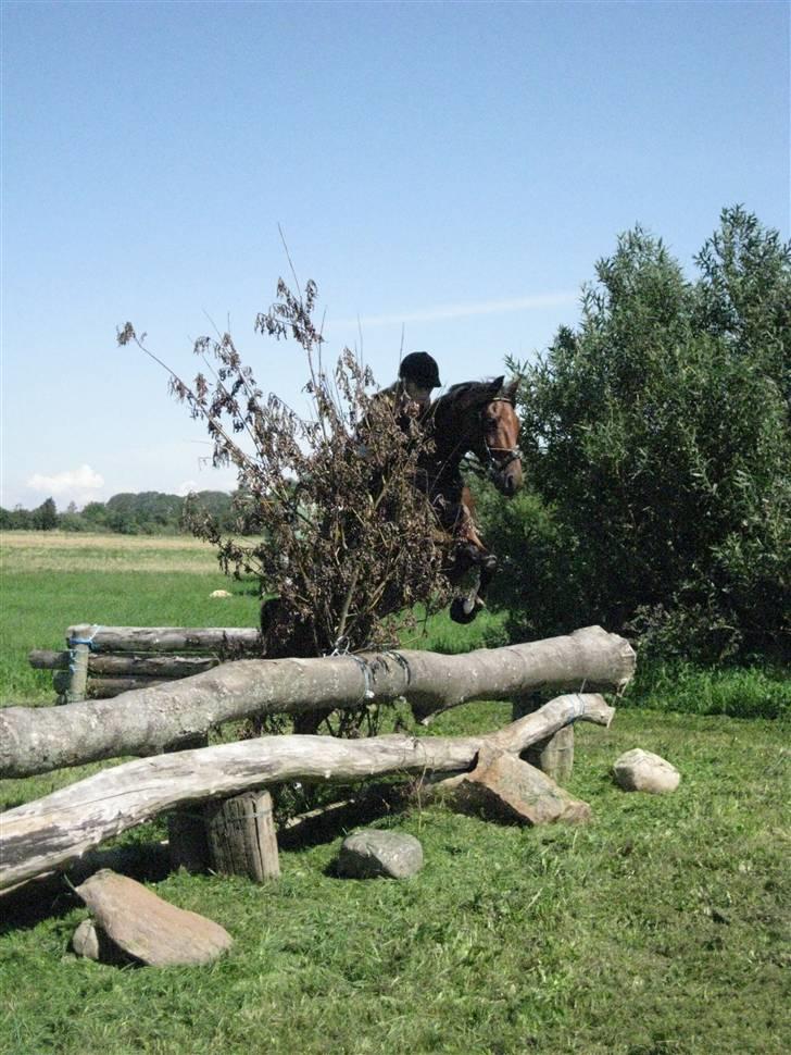 Søborggård Ridelejr Uge 32 billede 251
