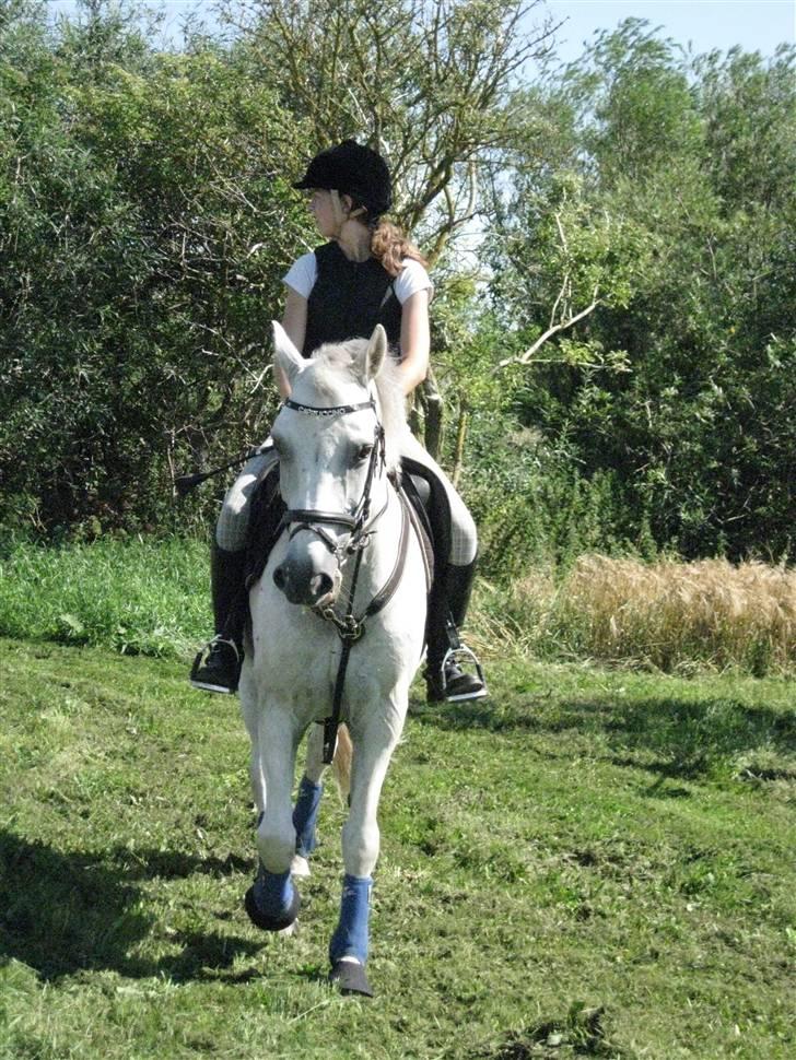 Søborggård Ridelejr Uge 32 billede 252