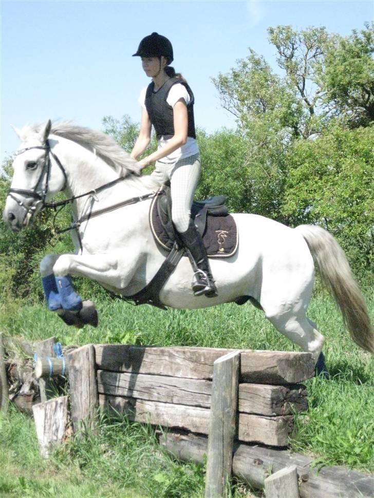 Søborggård Ridelejr Uge 32 billede 253