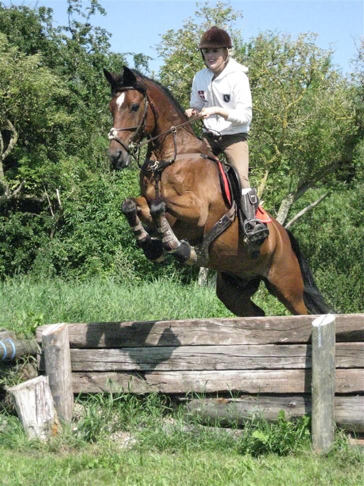 Søborggård Ridelejr Uge 32 billede 255