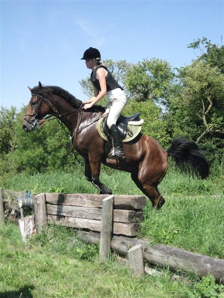 Søborggård Ridelejr Uge 32 billede 256