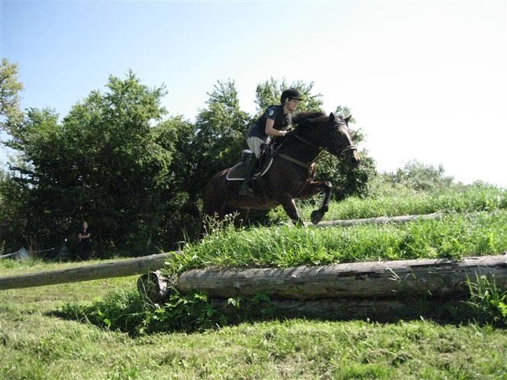 Søborggård Ridelejr Uge 32 billede 257