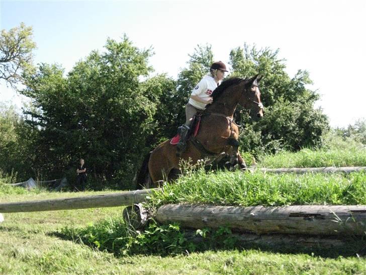 Søborggård Ridelejr Uge 32 billede 258