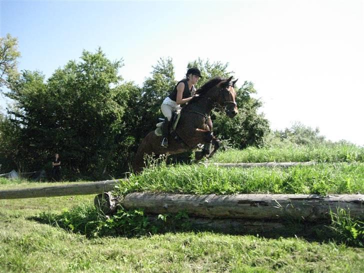 Søborggård Ridelejr Uge 32 billede 259