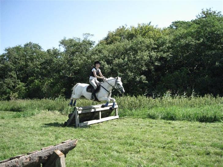 Søborggård Ridelejr Uge 32 billede 260