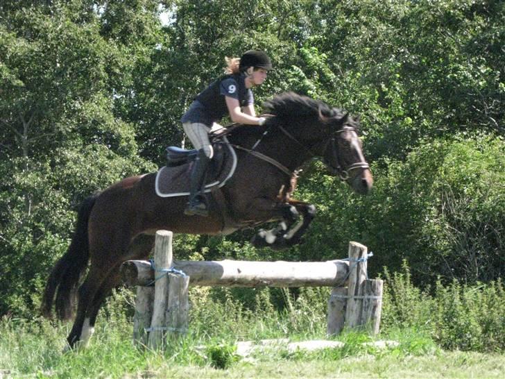 Søborggård Ridelejr Uge 32 billede 261