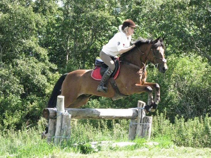 Søborggård Ridelejr Uge 32 billede 262