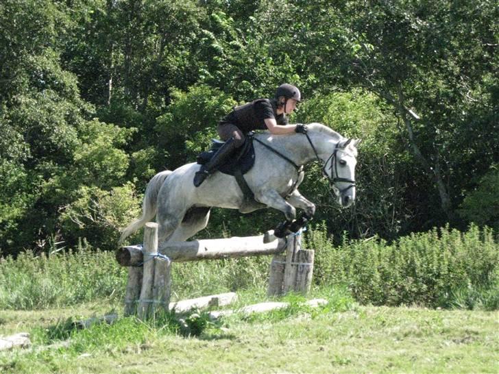 Søborggård Ridelejr Uge 32 billede 263