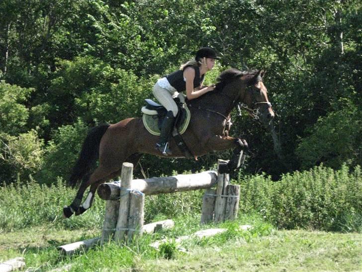 Søborggård Ridelejr Uge 32 billede 264