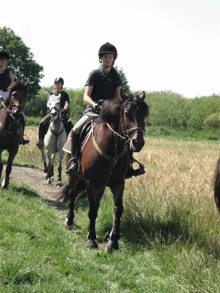Søborggård Ridelejr Uge 32 billede 265