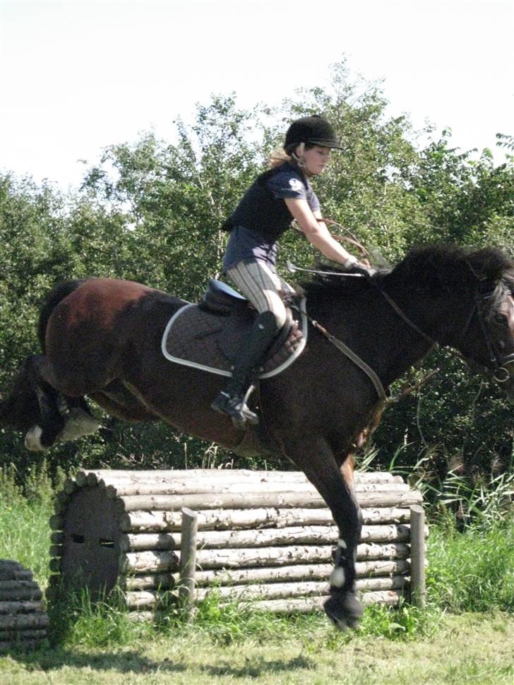 Søborggård Ridelejr Uge 32 billede 266