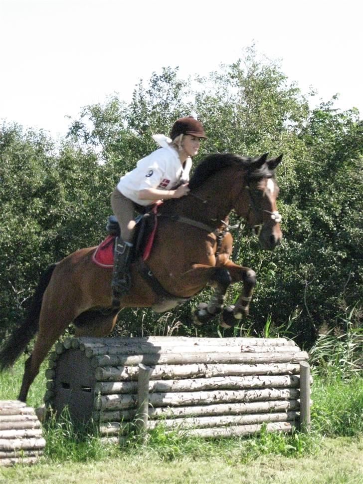 Søborggård Ridelejr Uge 32 billede 267