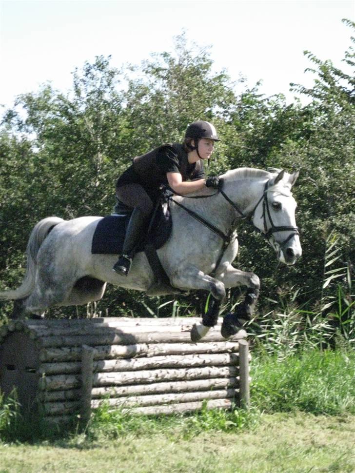 Søborggård Ridelejr Uge 32 billede 268