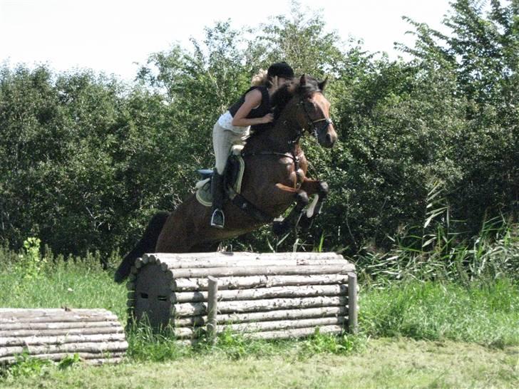 Søborggård Ridelejr Uge 32 billede 269