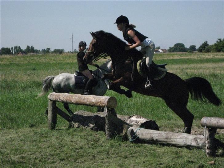 Søborggård Ridelejr Uge 32 billede 270