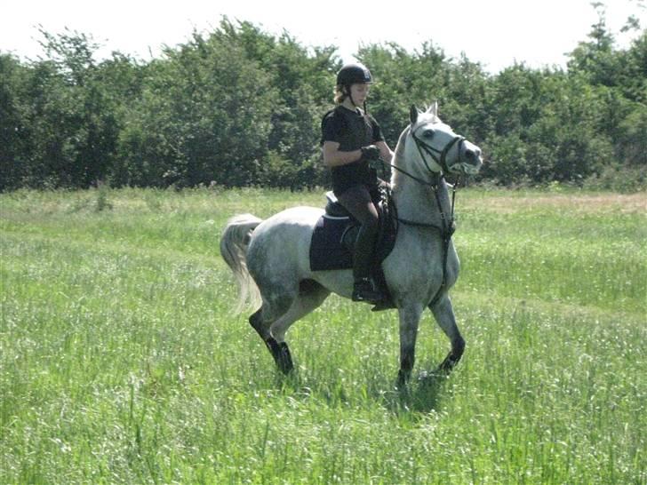 Søborggård Ridelejr Uge 32 billede 271