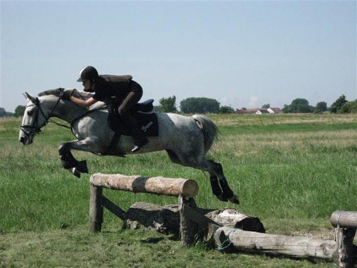 Søborggård Ridelejr Uge 32 billede 272