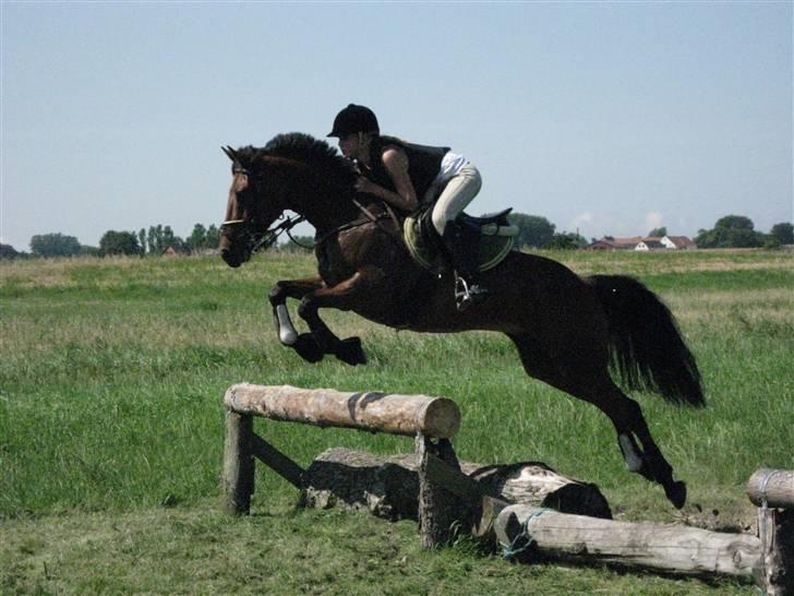 Søborggård Ridelejr Uge 32 billede 273