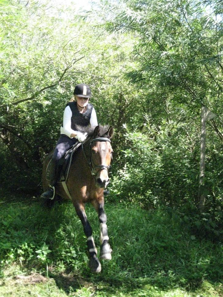 Søborggård Ridelejr Uge 32 billede 274