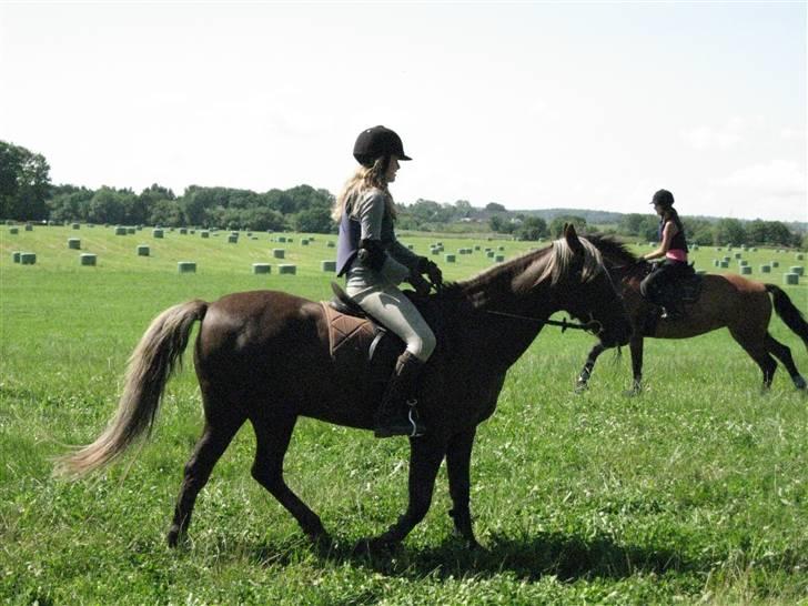 Søborggård Ridelejr Uge 32 billede 275