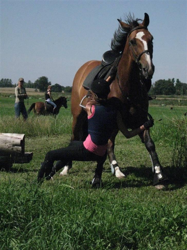 Søborggård Ridelejr Uge 32 billede 276