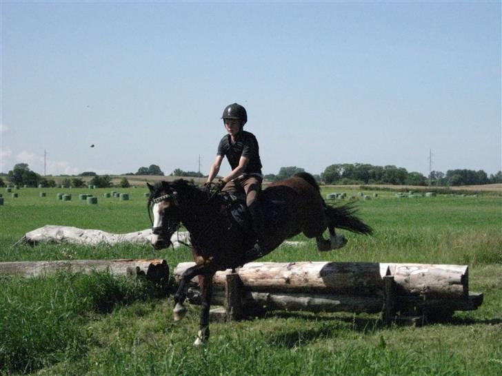 Søborggård Ridelejr Uge 32 billede 279